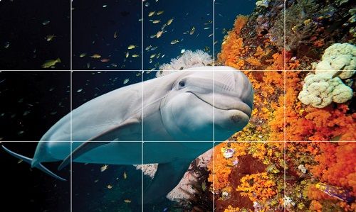 آسمان مجازی طرح آکواریوم