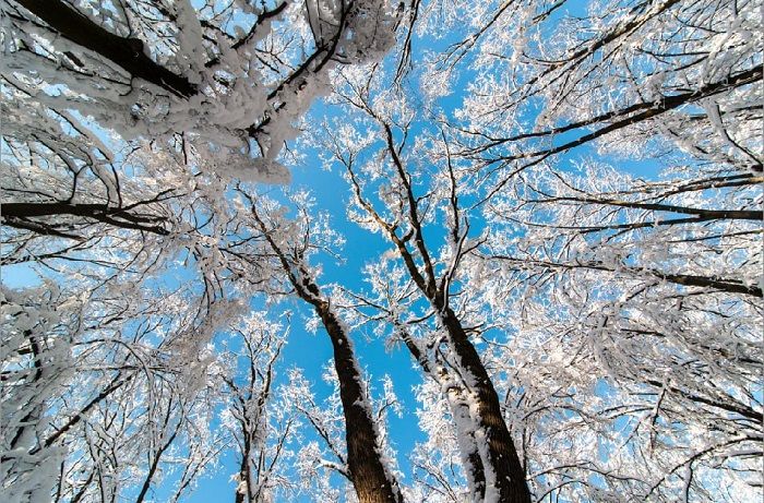 آسمان مجازی سه بعدی
