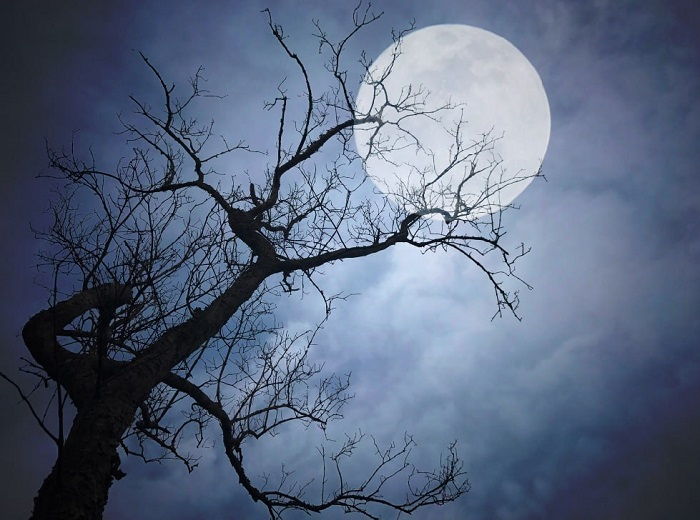 آسمان مجازی سه بعدی