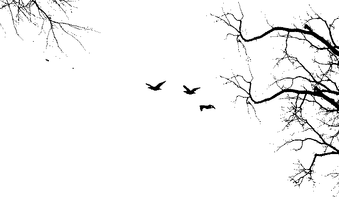 آسمان مجازی سه بعدی