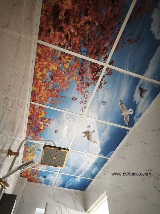 آسمان مجازی حمام