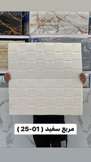 دیوارپوش
