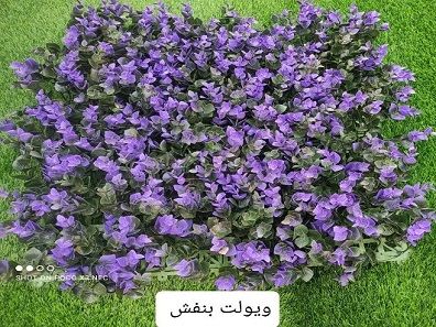 گرین وال