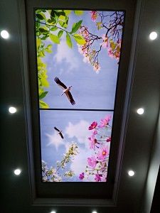 نمونه آسمان مجازی برای آشپزخانه