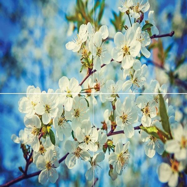 آسمان مجازی طرح شکوفه